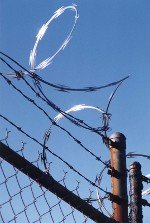 barbed-wire-custody