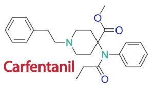 Carfentanil is Linked to Rise in Overdoses
