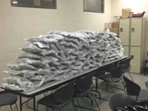 Traffic Stop Leads to Marijuana Trafficking Charges